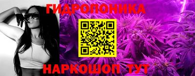 apvp Краснодар