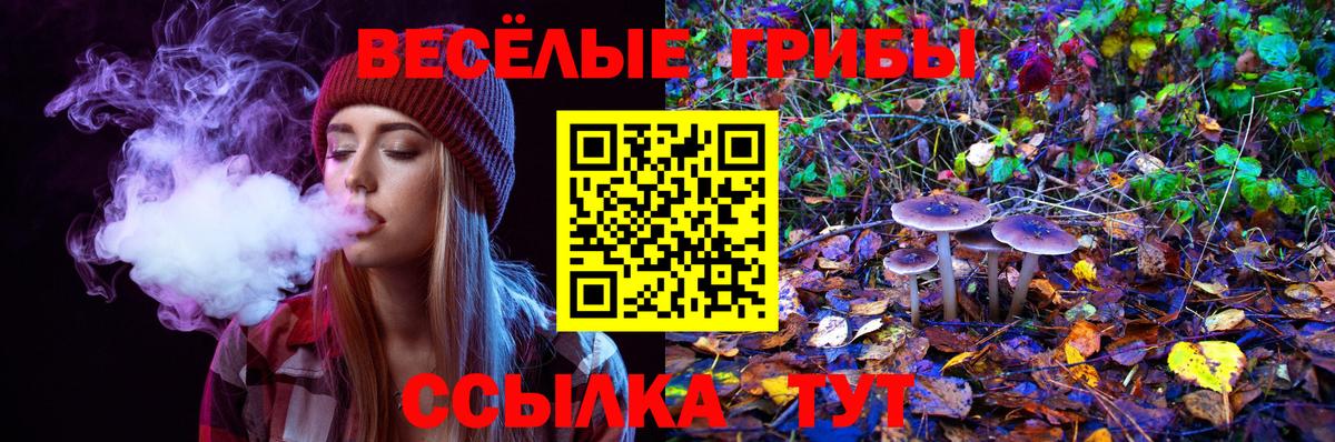 Галлюциногенные грибы Cubensis  Вход с VPN  где найти   Костомукша 